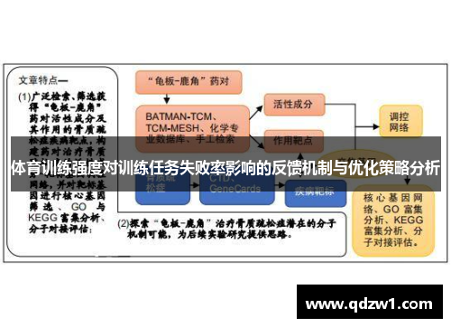 体育训练强度对训练任务失败率影响的反馈机制与优化策略分析